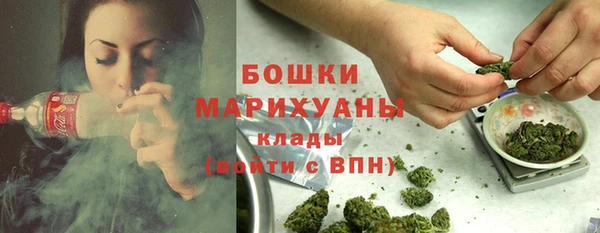 дурь Дмитриев