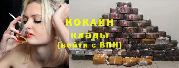 гидра Елабуга