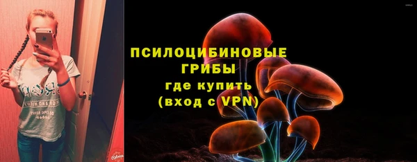 дурь Дмитриев