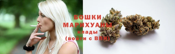дурь Дмитриев
