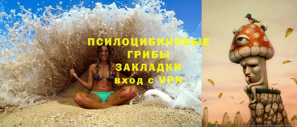 мескалин Гусев
