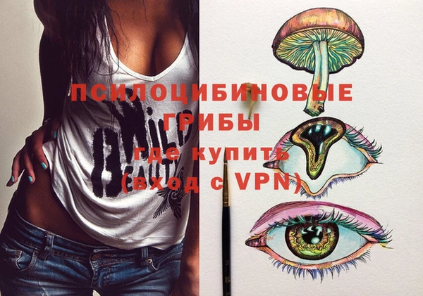 ГАЛЛЮЦИНОГЕННЫЕ ГРИБЫ Дмитровск