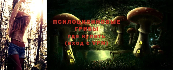 гидра Елабуга