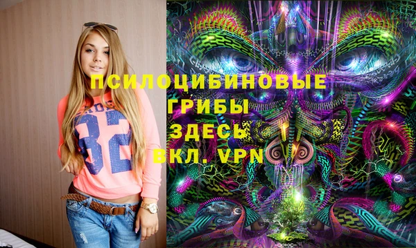 дурь Дмитриев