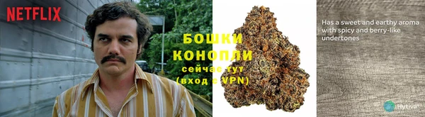 ГАЛЛЮЦИНОГЕННЫЕ ГРИБЫ Дмитровск